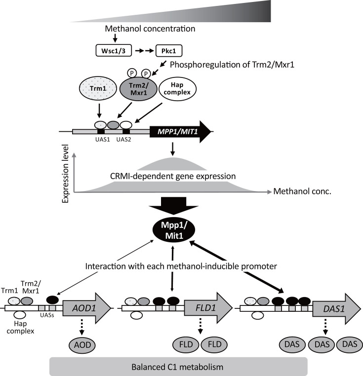 Fig 8