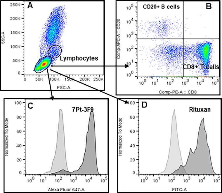 FIG. 1