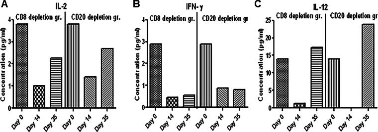 FIG. 5
