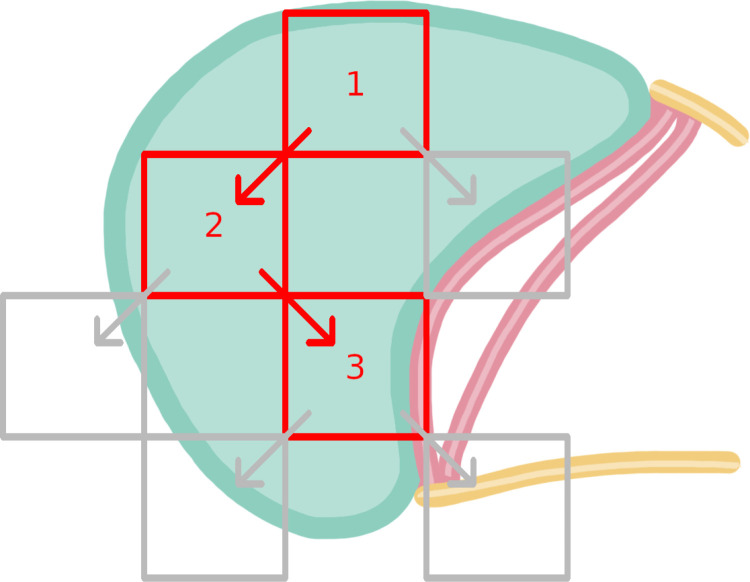Fig 2