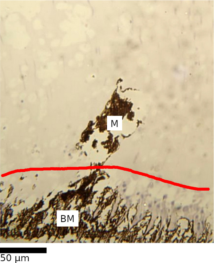 Fig 6