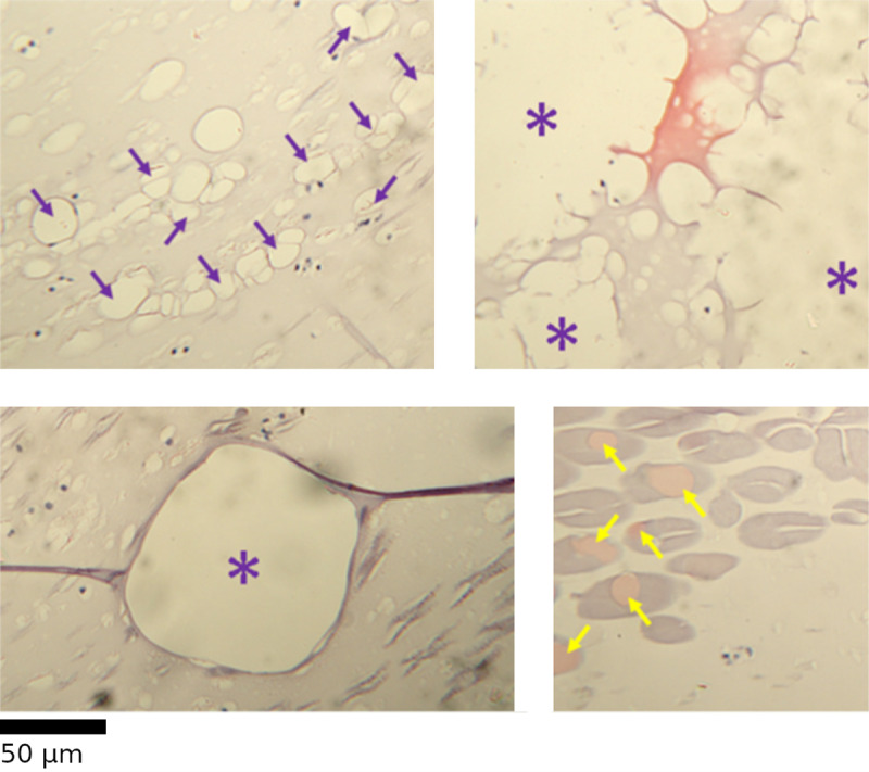Fig 8