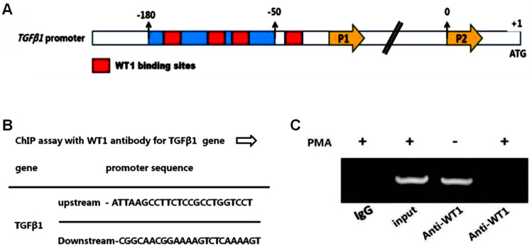 Fig 7