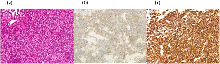FIGURE 2