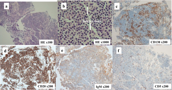 FIGURE 3