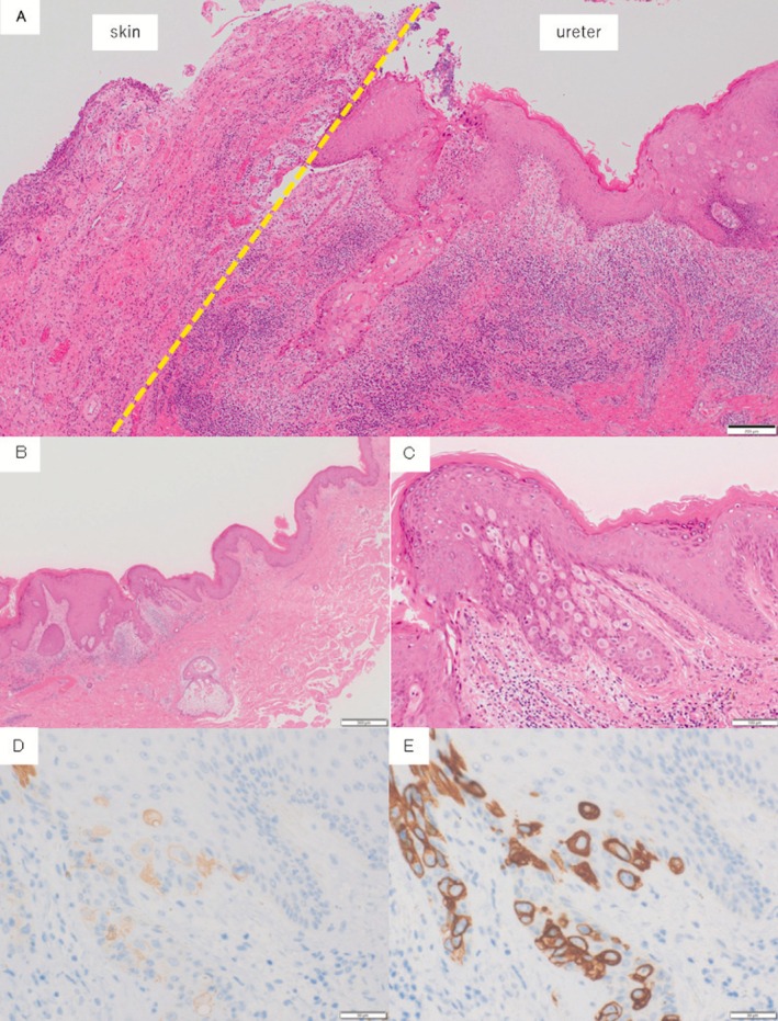 FIGURE 3