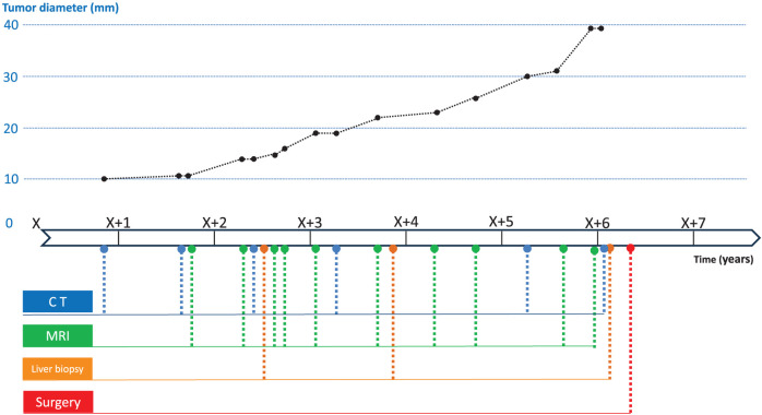 Fig. 4