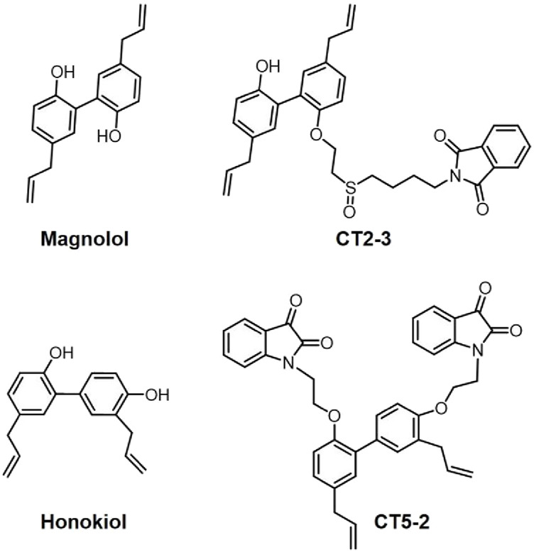 FIGURE 1