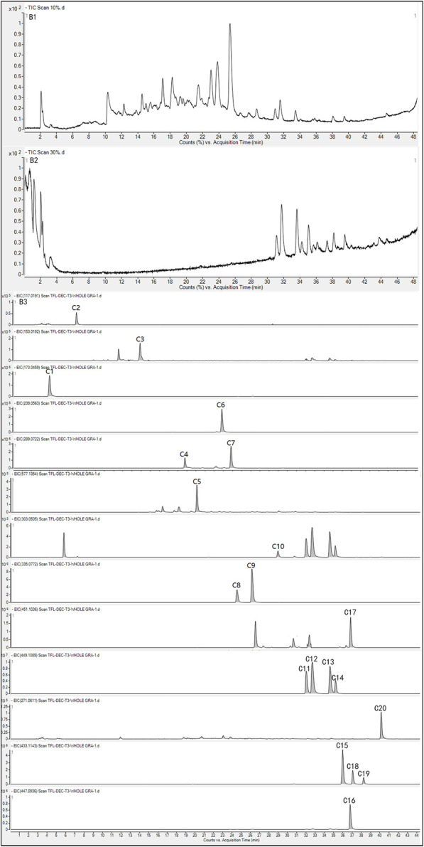 FIGURE 3