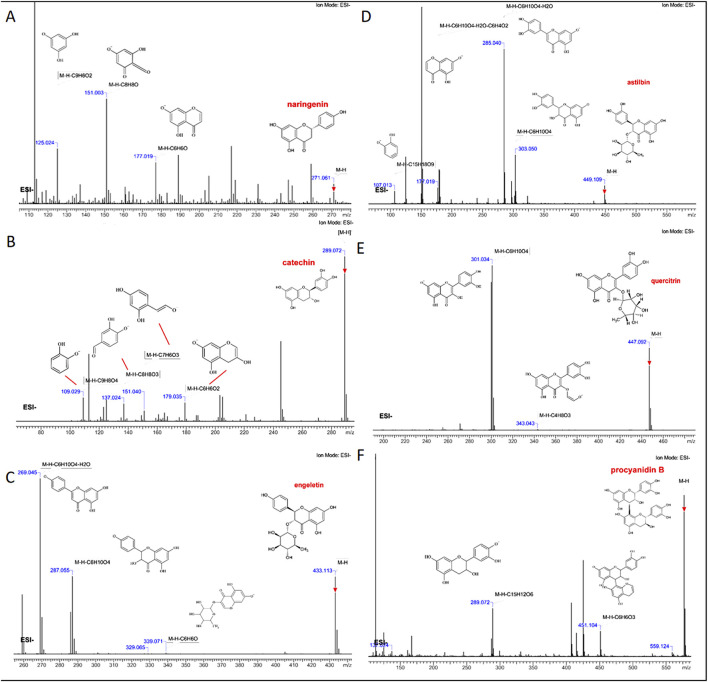FIGURE 4