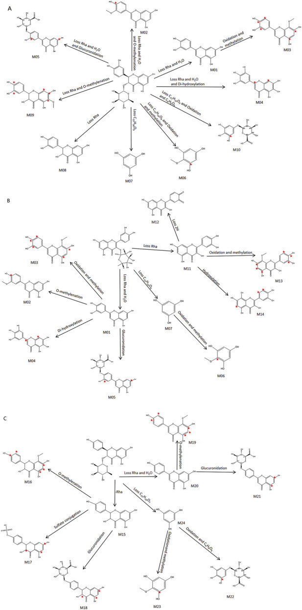 FIGURE 8