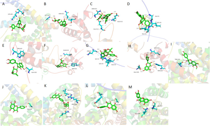 FIGURE 10