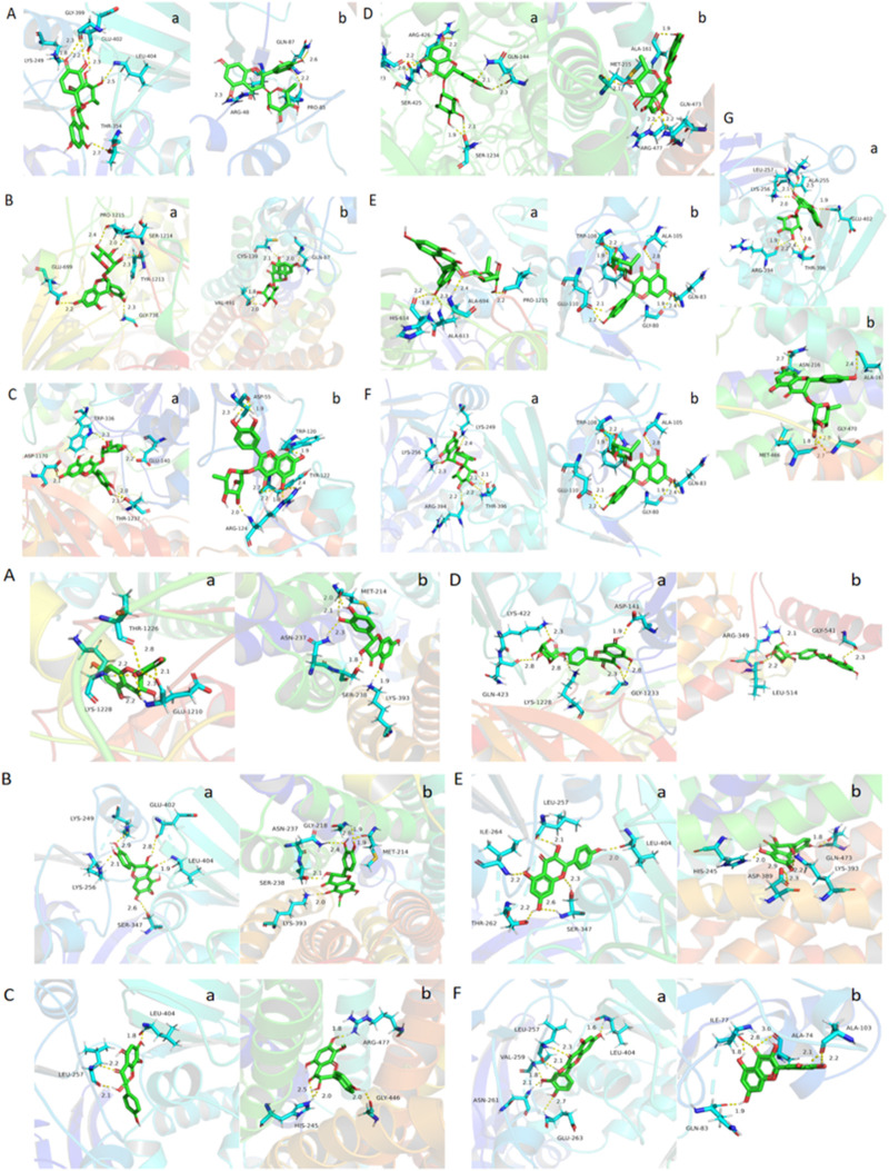 FIGURE 11