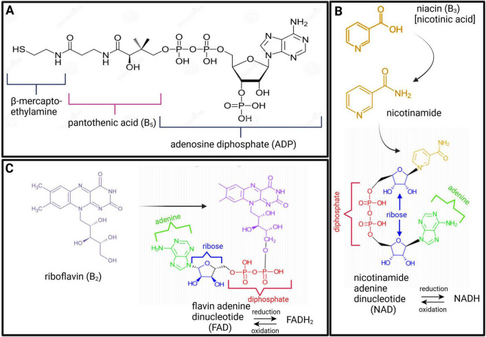 FIGURE 2