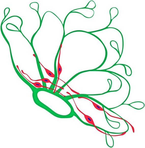 FIGURE 11