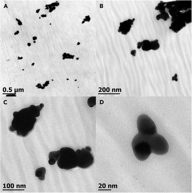 Figure 5