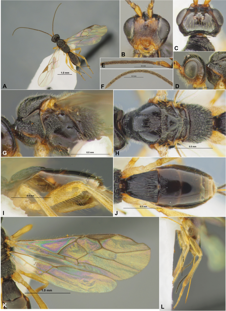 Figure 16