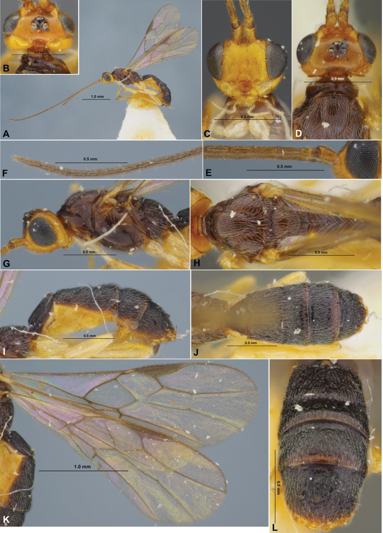 Figure 18