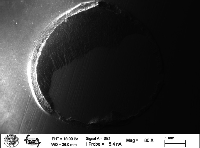 Figure 14