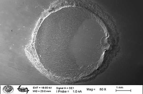 Figure 15
