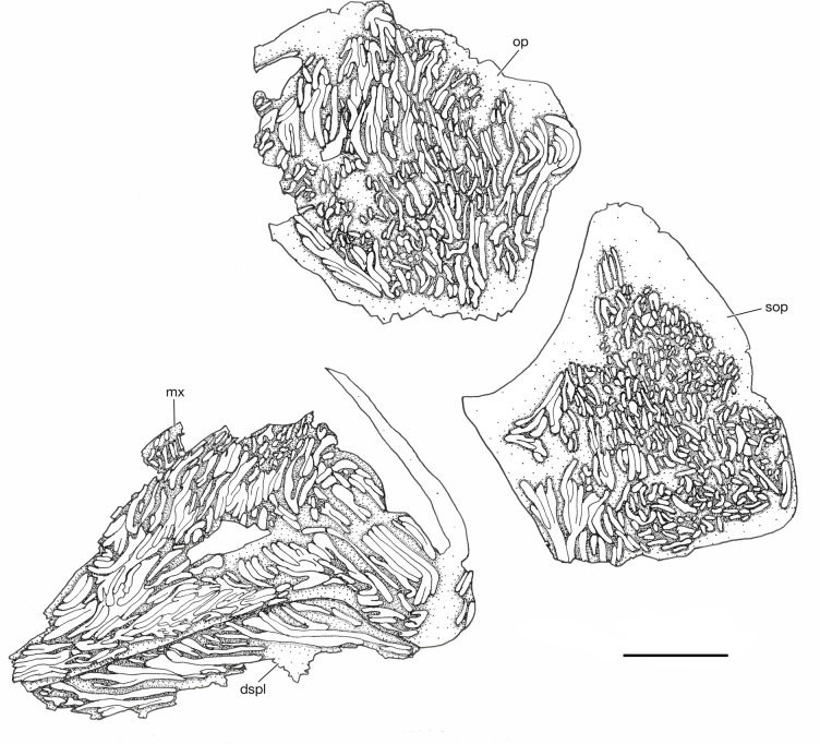 Figure 10