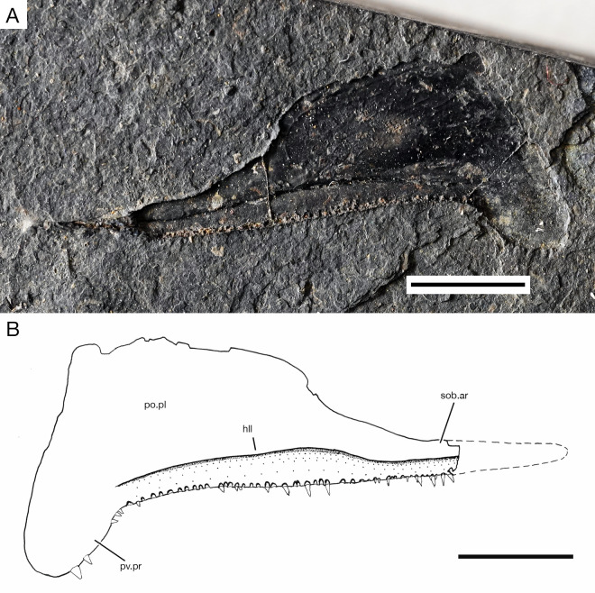 Figure 13