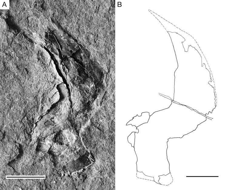Figure 14