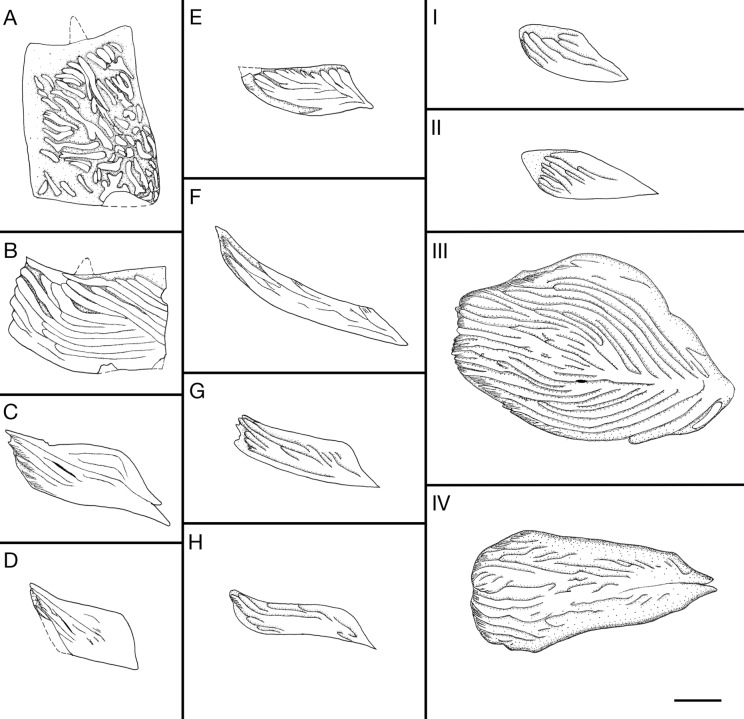 Figure 15