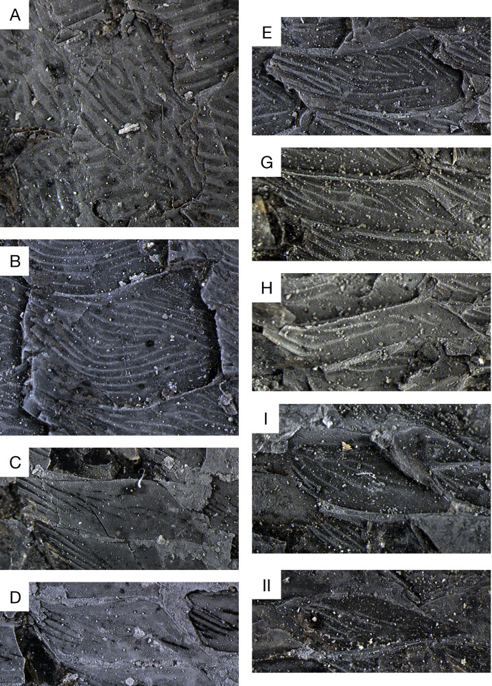 Figure 16