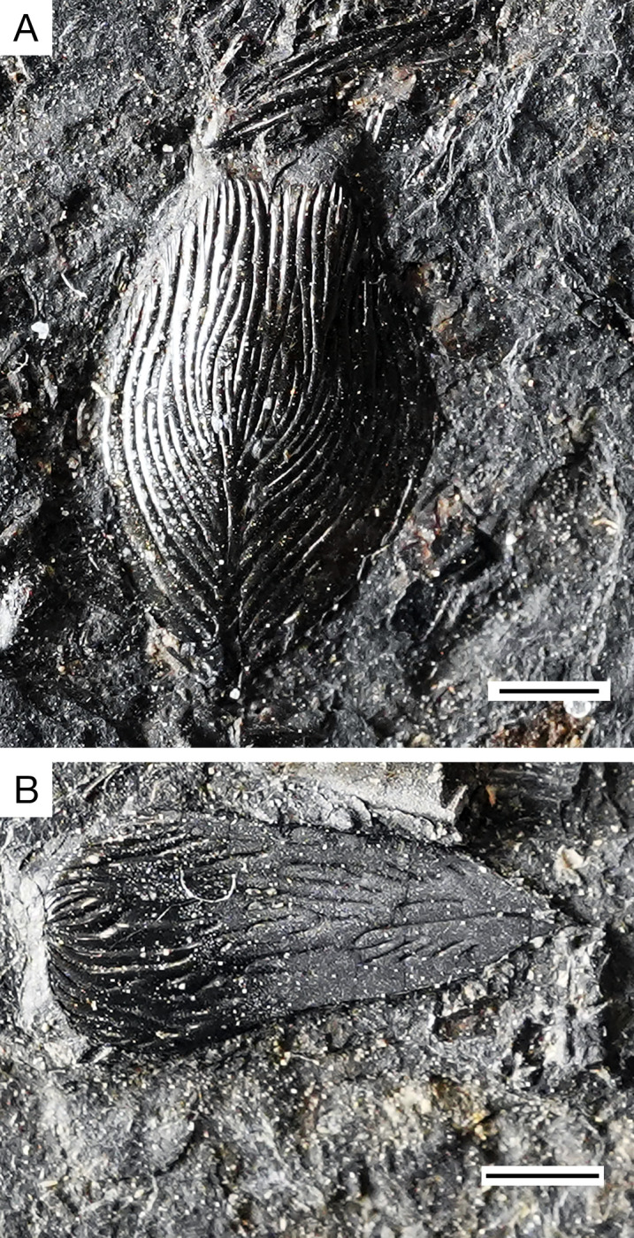 Figure 17