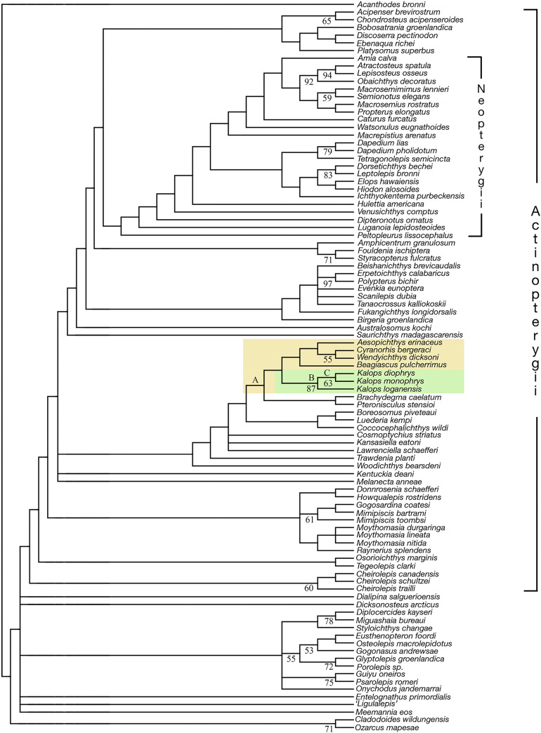 Figure 18