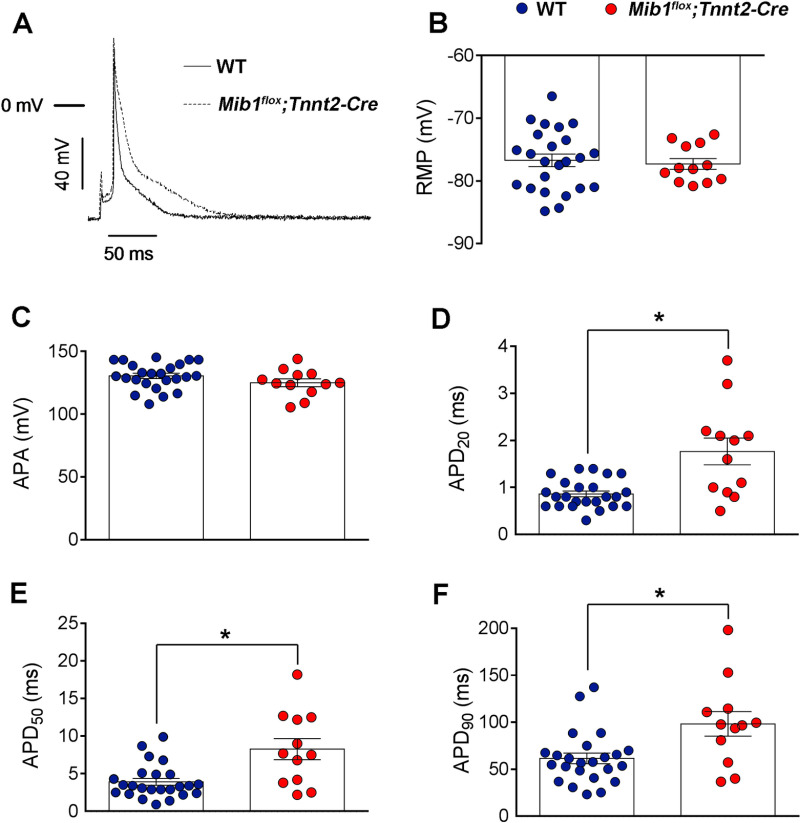 Figure 13