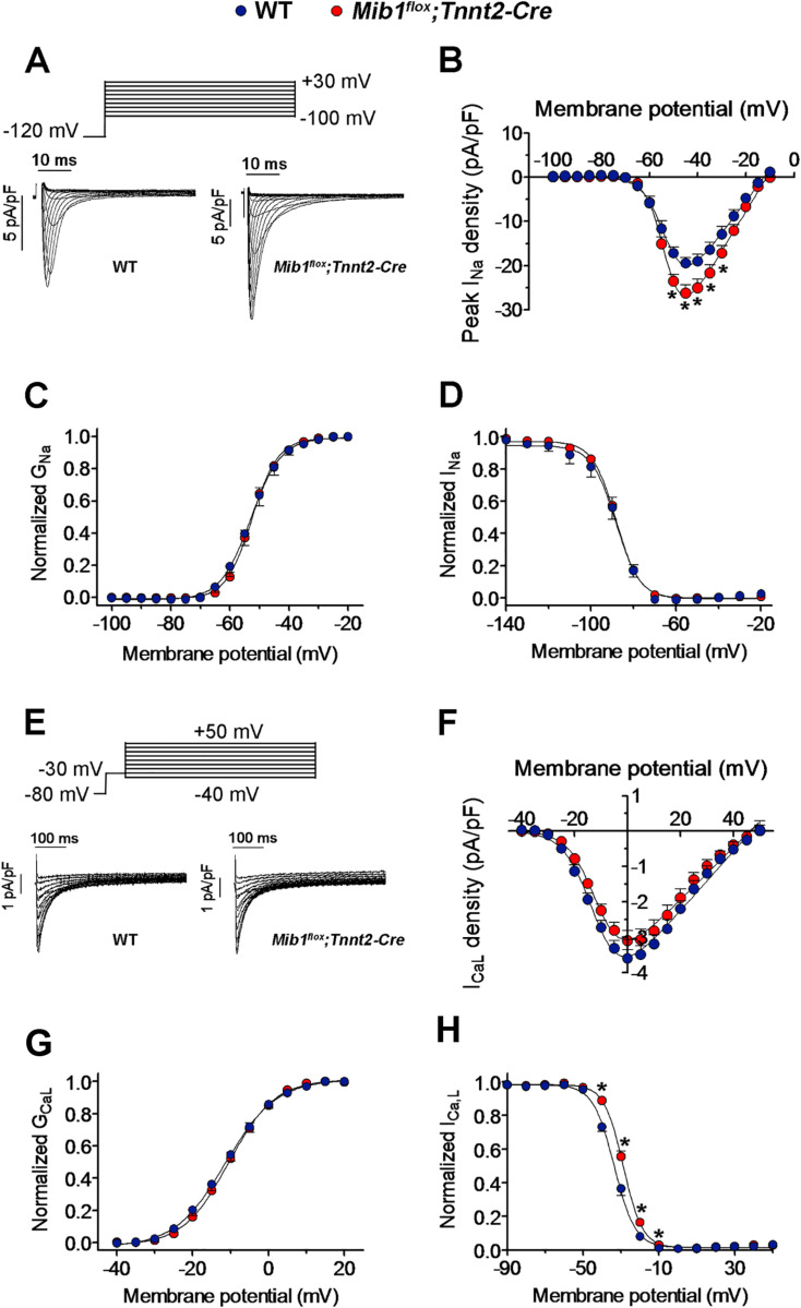 Figure 14