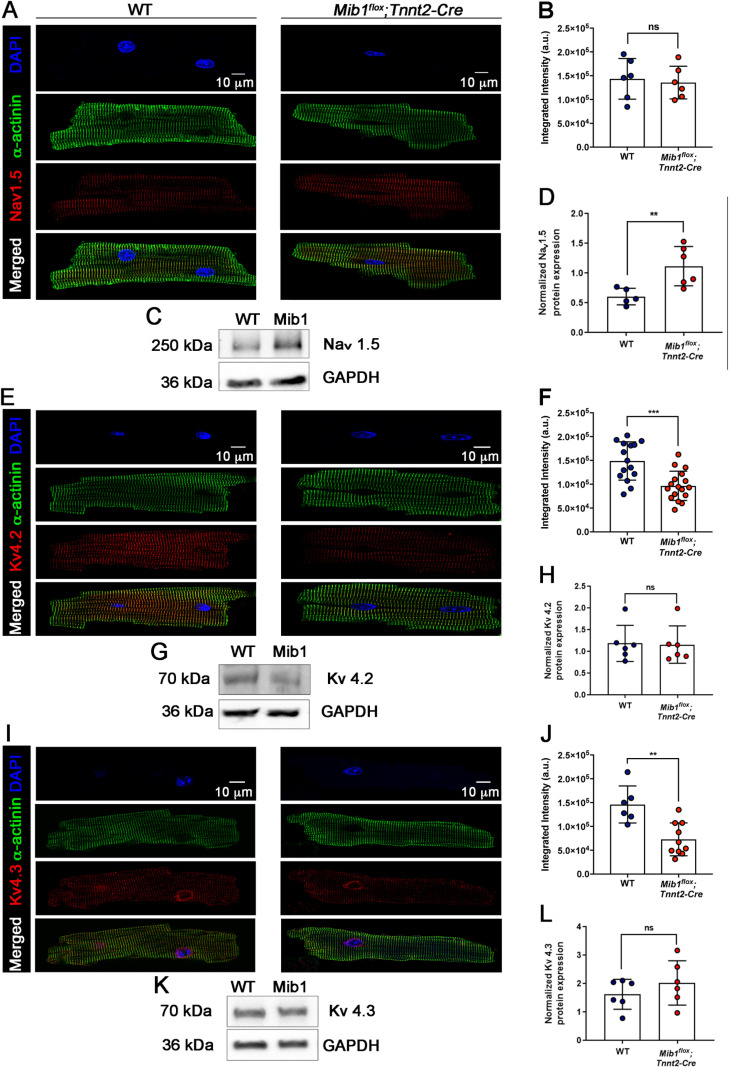 Figure 16