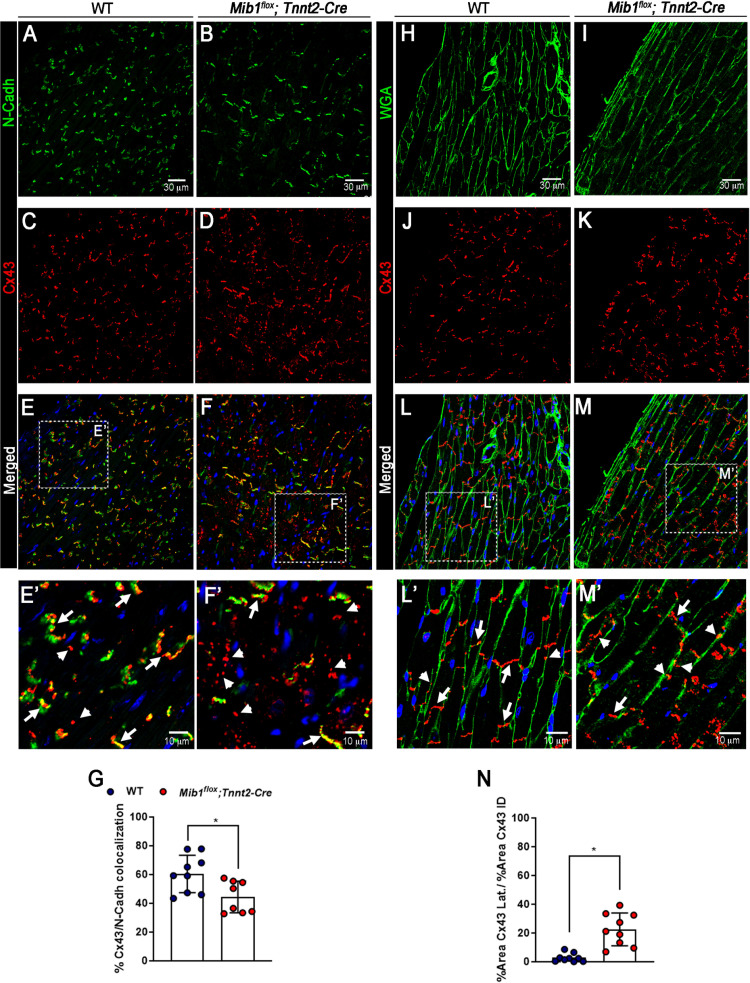 Figure 17
