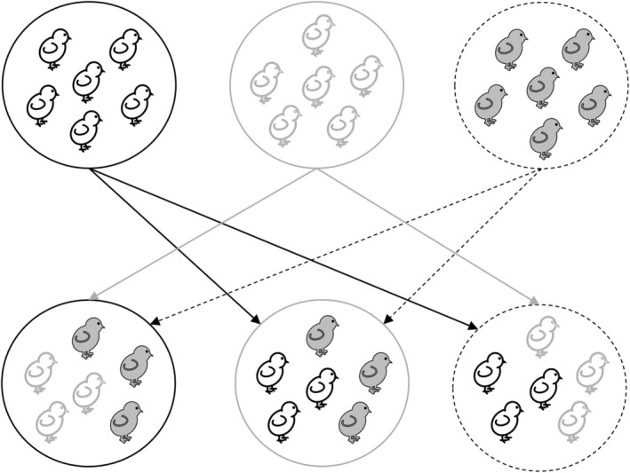 FIGURE 1