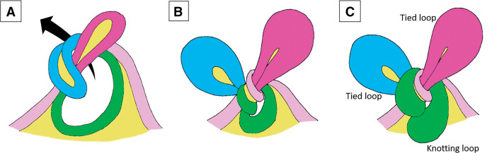 Fig. 3