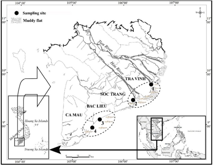 FIGURE 1