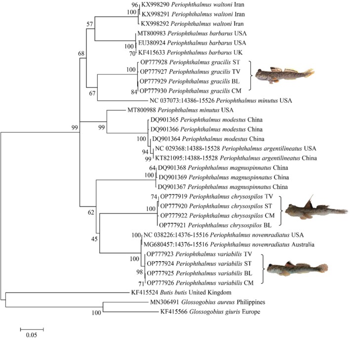 FIGURE 2