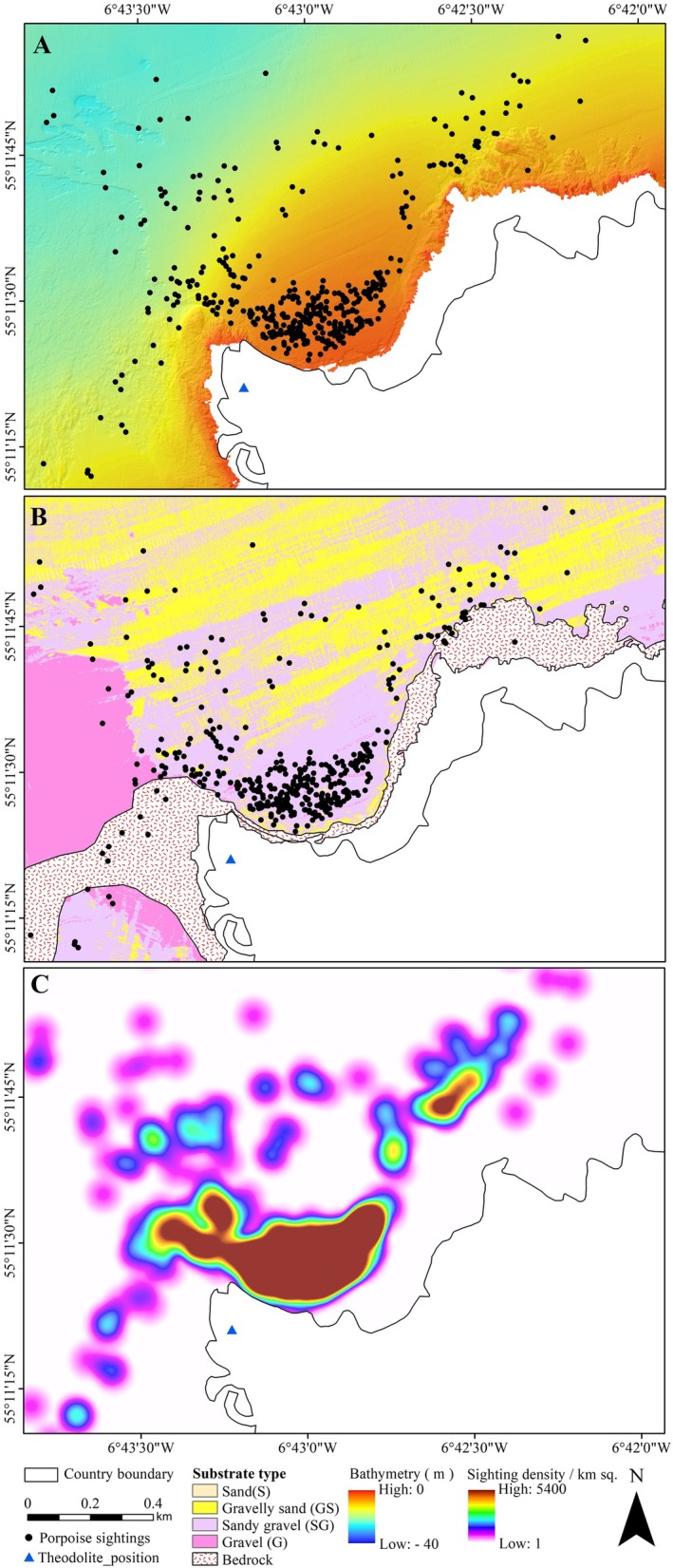 FIGURE 4