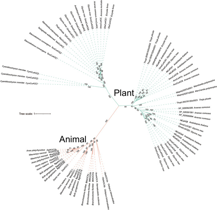 Figure 1
