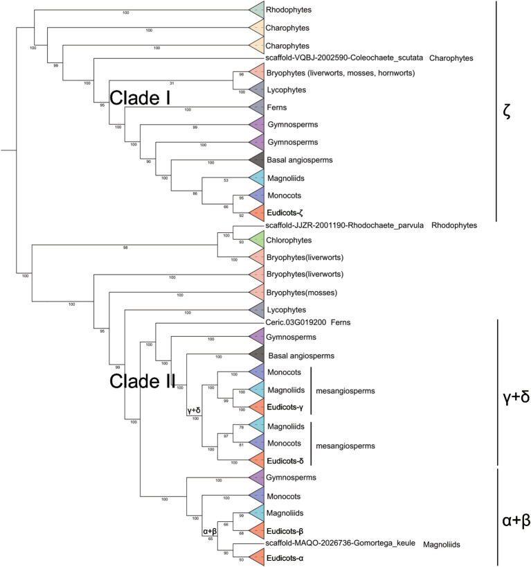 Figure 2