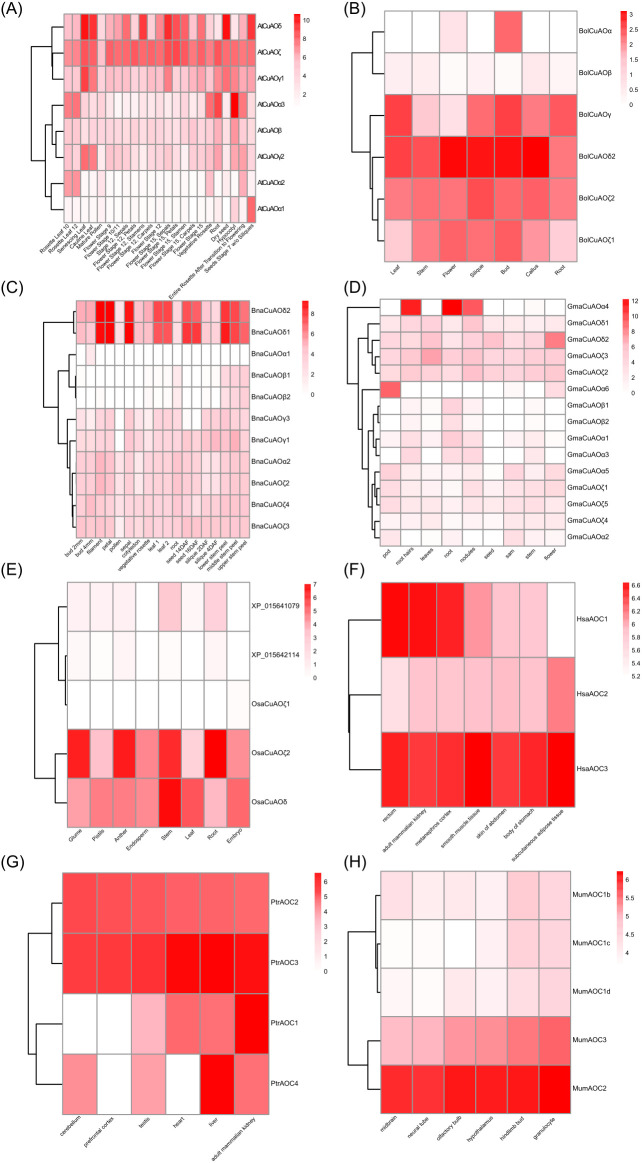 Figure 7