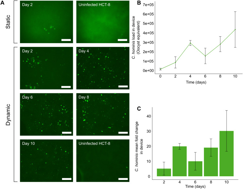 Figure 2