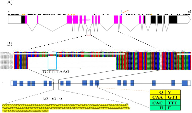 Figure 3