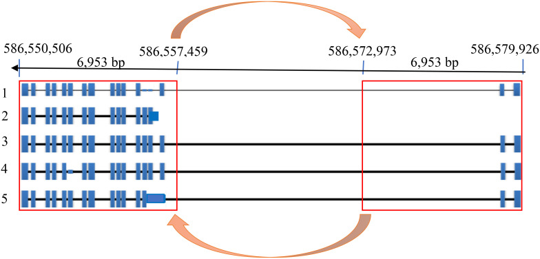 Figure 4