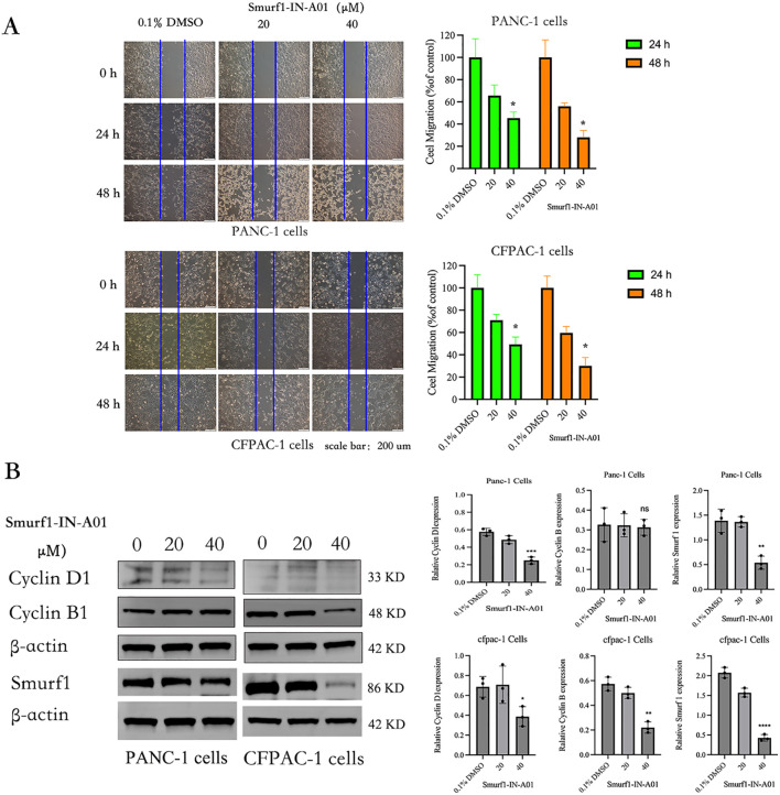 Figure 4