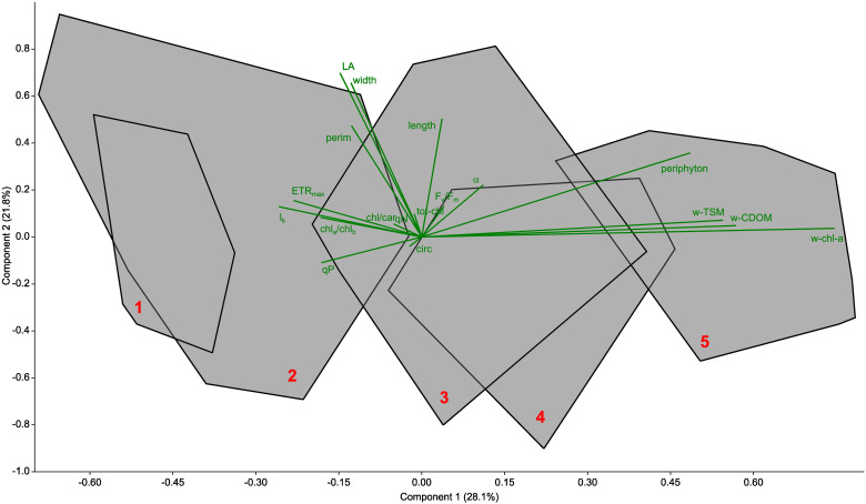 Figure 6