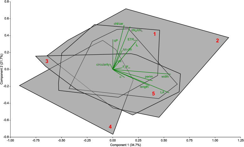 Figure 7