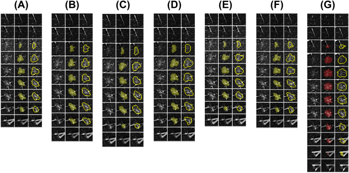 Figure 2